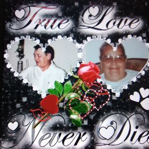 Meet your Posher, Violet